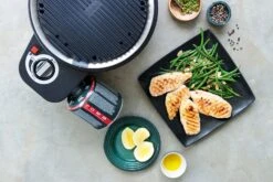 Cobb Grill Premier Gas Deluxe 2.0 - Gasgrill - Kartuschenanschluss - Modell 2023 -Küche Zu Hause Cobb Grill Premier Gas Deluxe 2 0 Grillplatte