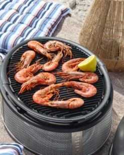 Cobb Grill Supreme Deluxe 2.0 Holzkohlegrill - Modell 2023 -Küche Zu Hause Cobb Grill Supreme Deluxe Griddle Grillplatte