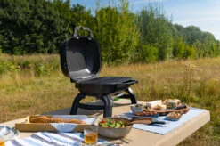 Napoleon TravelQ 240 Kompakt Gasgrill Schwarz- Modell 2023 -Küche Zu Hause Napoleon TravelQ TQ240 Kompaktgrill